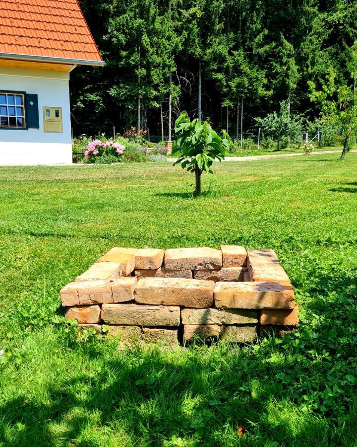 Turisticna Kmetija Hisa Ob Gozdu Pri Ptuju Holiday home *