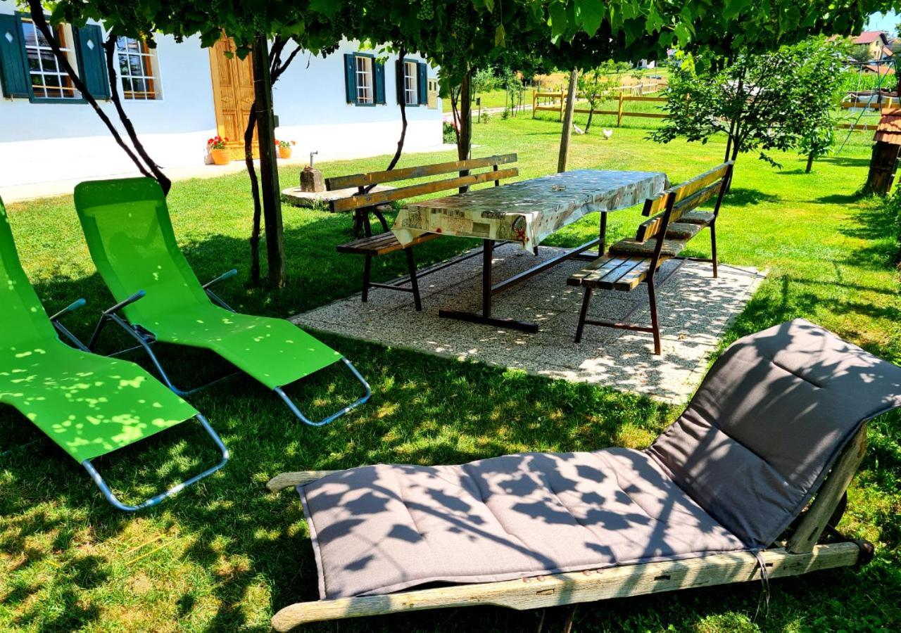 Turisticna Kmetija Hisa Ob Gozdu Pri Ptuju *