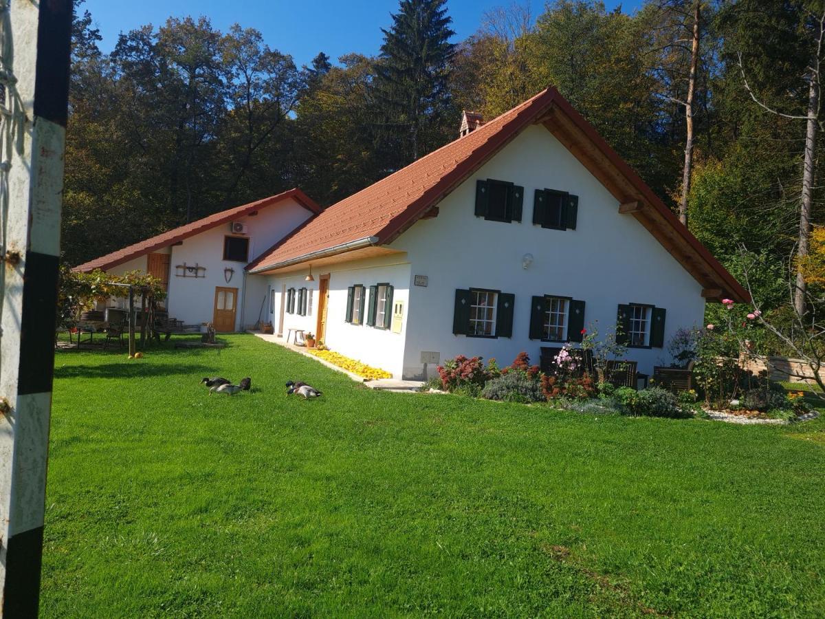 Turisticna Kmetija Hisa Ob Gozdu Pri Ptuju *